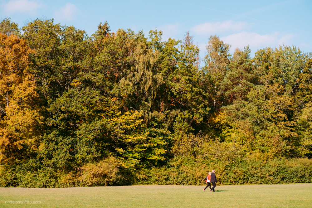 The great colors of autumn