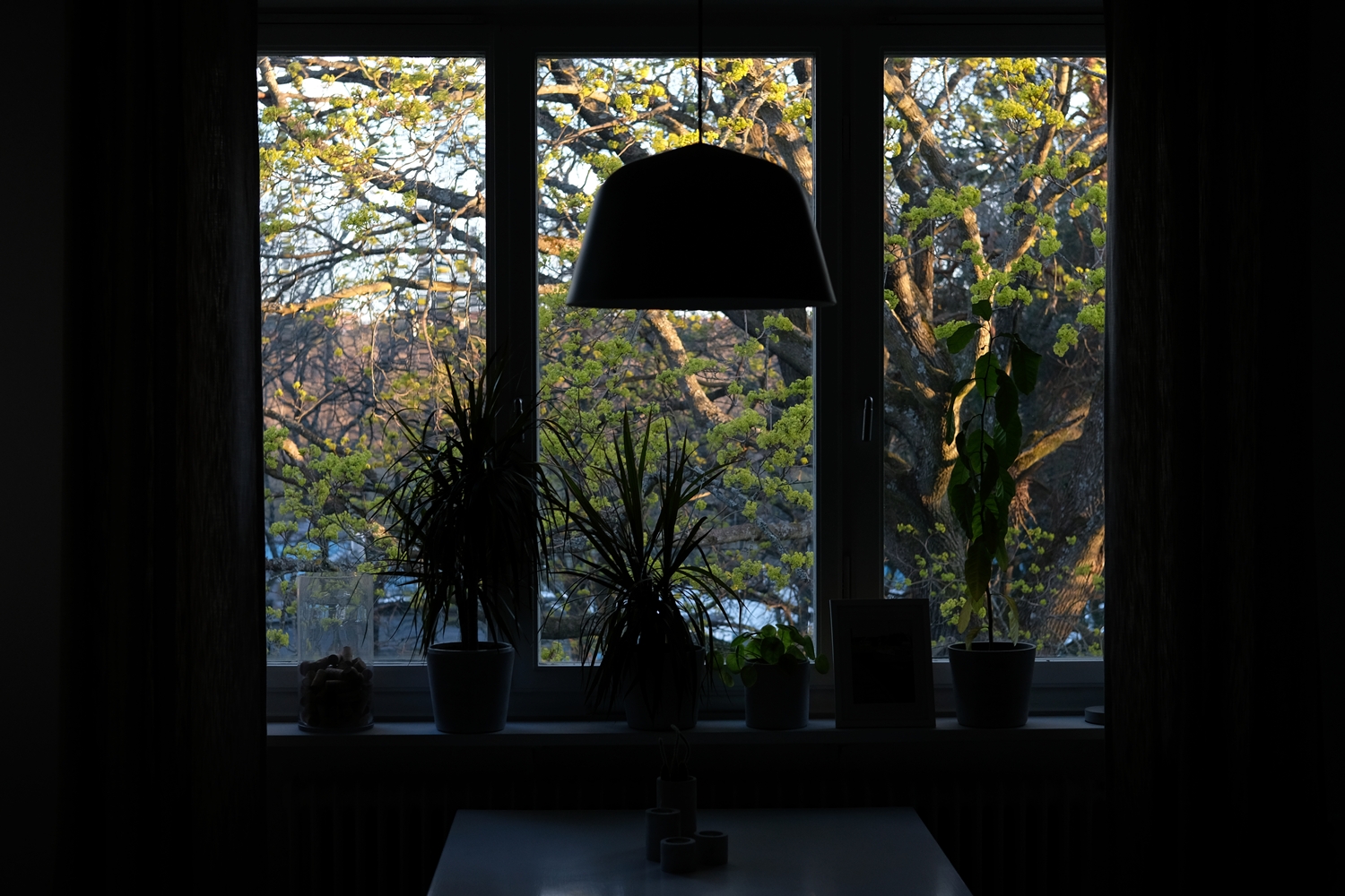 All the seasons from our livingroom window